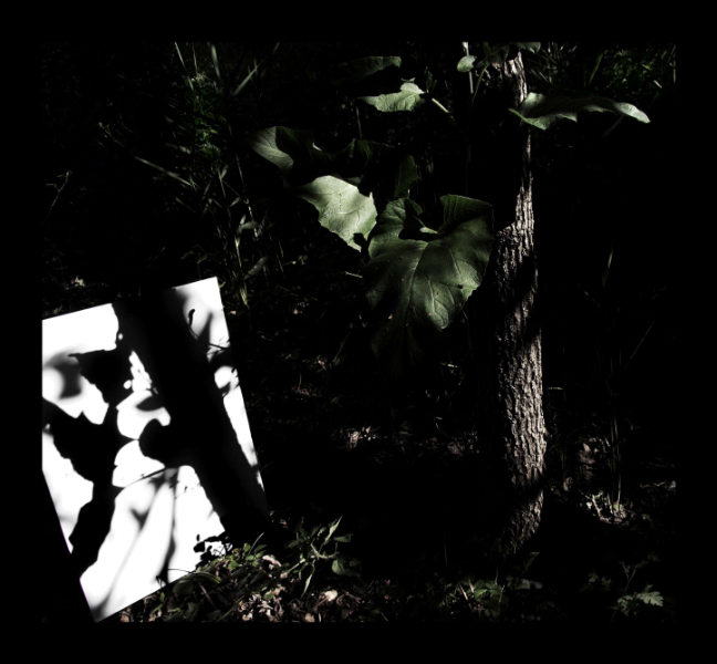 Serie L'ombra Del Paisatge<br/>Fotografía color. Impresión Giclèe / Colour Photograph. Digital Print