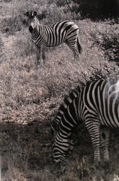 Botswana, Chute Victoria, 2009<br/>Impresión de tintas de pigmentos / Inkjet 