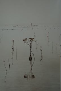 Nusa Lembongan 1, 2004. Serie Pêcheur D'algues, Bali, 2004<br/>Impresión de tintas de pigmentos / Inkjet 
