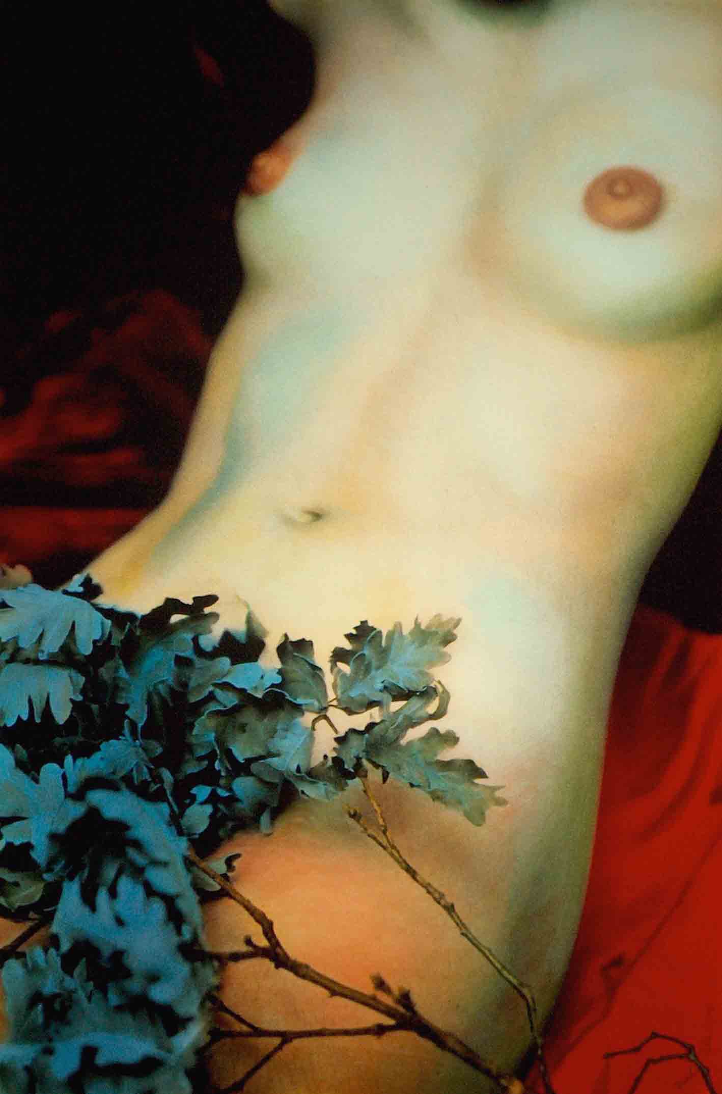Venus, 1998<br/>Tintas pigmentadas / Inkjet