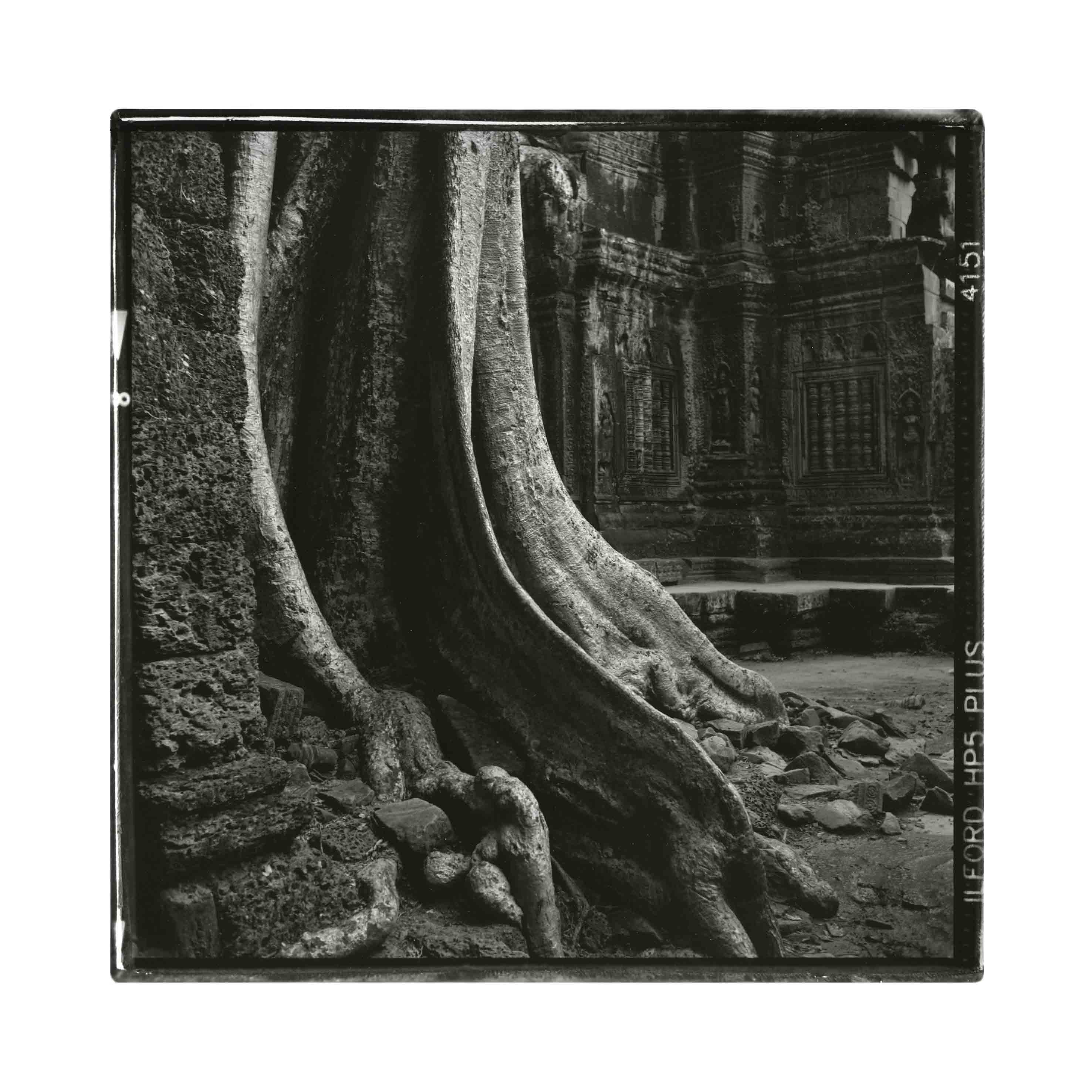 Angkor<br/>