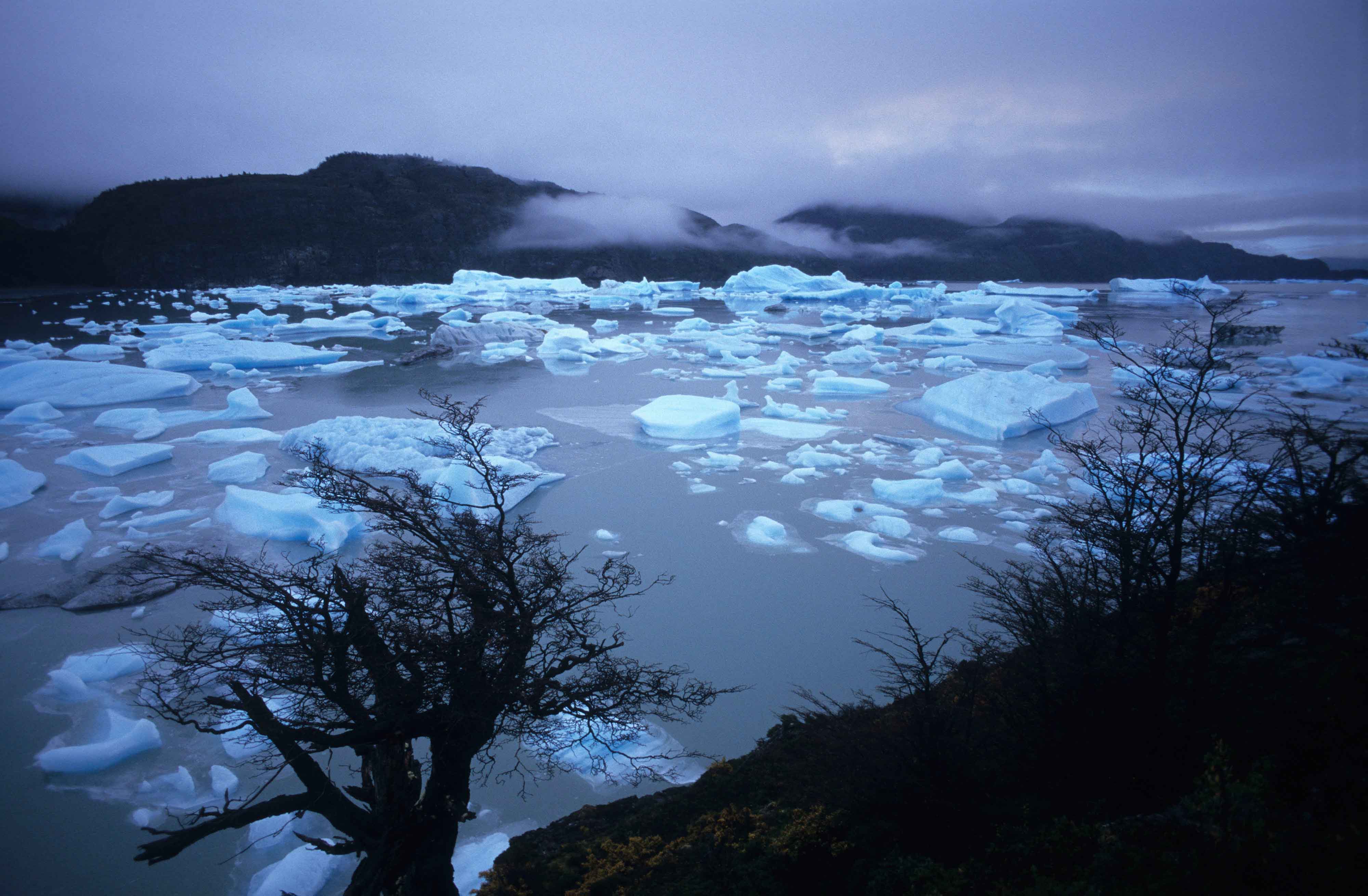 Lago Grey. Patagonia, Chile, 2002<br/>Giclée