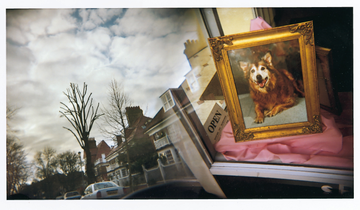 Doggie in the window, 1993<br/>