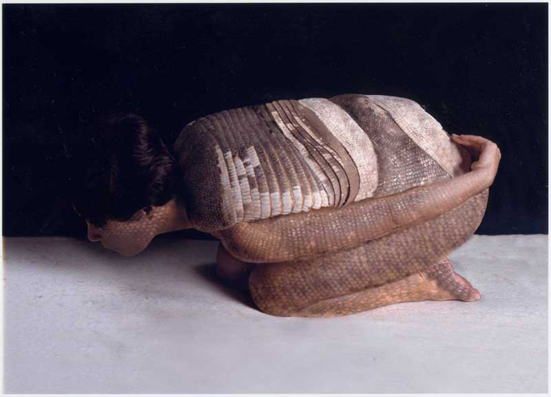 Armadillo, 2001<br/>Performance fotográfico con pintura corporal. Impresión sobre seda