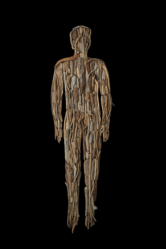 Anatomías 6<br/>Caja de madera y maderas de deriva. 2018. 63,5 x 193 x 6 cm