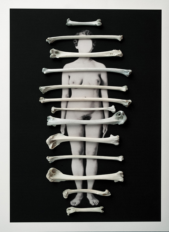 Cuerpos 6<br/>Serie: Cuerpos
Caja de madera, fotografía impresa sobre papel Canson Edition blanco natural 250 gr. y huesos 
27,5 x 38 cm.
Ed.: Única / Unique 