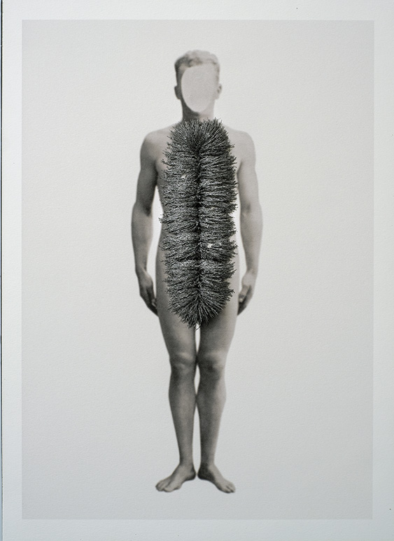 Cuerpos 18<br/>Caja de madera, fotografía impresa sobre
papel Canson edition blanco natural
250gr. y limaduras de hierro.
27 ́5 x 38 cm