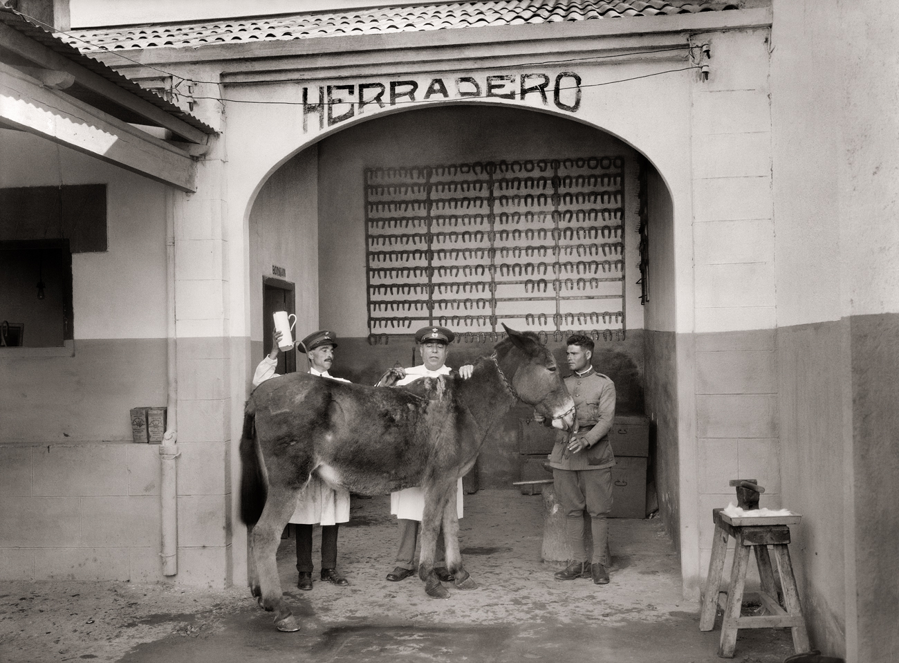 Herradero del Cuartel de Regulares González Tablas. Ceuta, 1929<br/>Gelatina de plata / Silver gelatin