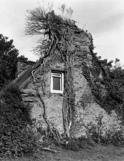 Abandoned House - Scart Waterfall - Co, (ca.1991-2001)<br/>Impresión digital sobre papel Kodak Endura