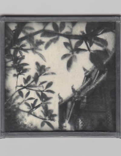 S/T. Choses vues au royaume de Siam, 2014<br/>Gelatina de plata / Silver gelatin                                   
8,5 x 8,5 cm 
