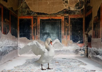 Karen Knorr