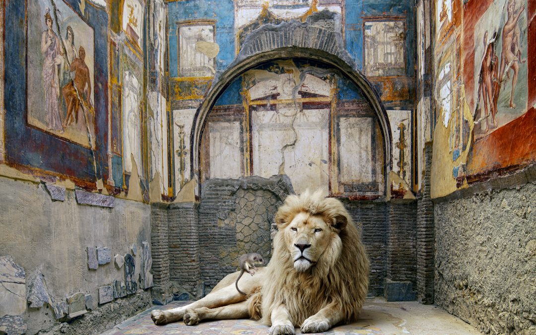 Karen Knorr