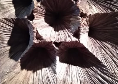 Luis Matías Santos Mudejar 1.8