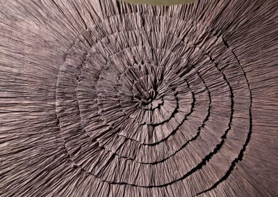 Luis Matías Santos 1.1 Espiral