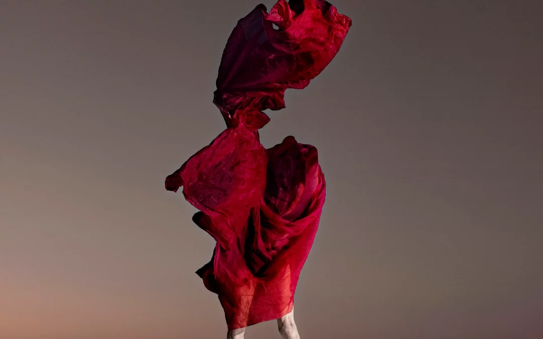 Fondo de galería. Isabel Muñoz