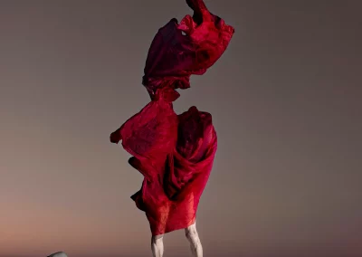 Fondo de galería. Isabel Muñoz